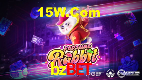 Interface Premium bzbet